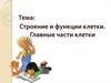 Строение и функции клетки