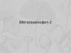 Мегагаметофит-2. Транскрипционная активность клеток женского гаметофита
