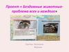Бездомные животные - проблема всех и каждого