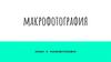 Макро и микрофотография
