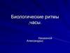 Биологические ритмы ,часы