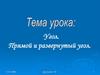 Угол. Прямой и развернутый угол