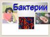 Открытие бактерий. Многообразие и среды жизни