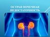 Острая почечная недостаточность