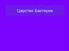 Царство бактерии