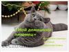 Мой домашний питомец