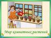 Мир комнатных растений