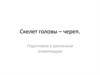 Строение черепа человека. Подготовка к школьным олимпиадам