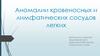 Аномалии кровеносных и лимфатических сосудов легких