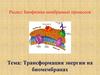 Трансформация энергии на биомембранах