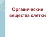 Органические вещества клетки