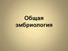 Общая эмбриология