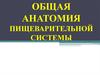 Общая анатомия пищеварительной системы