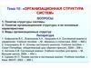 Организационная структура систем