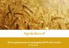Оценка деятельности предприятий Агрокультура