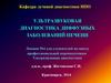 Ультразвуковая диагностика диффузных заболеваний печени