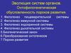 Эволюция систем органов. Онтофилогенетическая обусловленность пороков развития