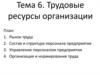 Трудовые ресурсы организации