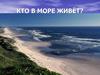 Обитатели моря