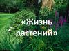 Жизнь растений. 6 класс