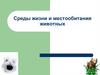 Среды жизни и местообитания животных