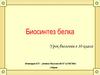 Биосинтез белка