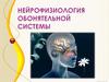 Нейрофизиология обонятельной системы