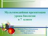 Тип Инфузории или Ресничные. Подцарство Простейшие.  Мультимедийная презентация урока биологии в 7 классе