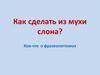 Фразеологизмы. Как сделать из мухи слона