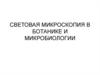 Световая микроскопия в ботанике и микробиологии