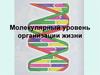 Молекулярный уровень организации жизни