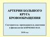 Артерии большого круга кровообращения