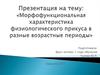 Возрастные аспекты развития физиологического вида прикуса