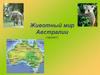 Животный мир Австралии