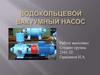 Водокольцевой вакуумный насос
