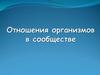 Отношения организмов в сообществе