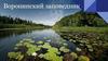Воронинский заповедник