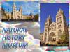 Natural history museum