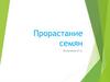Прорастание семян