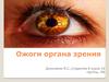 Ожоги органа зрения