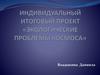 Индивидуальный итоговый проект «Экологические проблемы космоса»