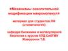 Механизмы окислительной модификации макромолекул. Материал для студентов ЛФ(стоматология)