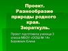 Разнообразие природы родного края. 3 класс