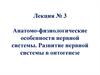 Анатомо-физиологические особенности нервной системы. Развитие нервной системы в онтогенезе