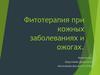 Фитотерапия при кожных заболеваниях и ожогах