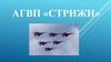 АГВП «Стрижи»