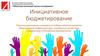 Инициативное бюджетирование