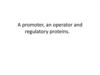 A promoter, an operator and regulatory proteins