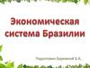Экономическая система Бразилии
