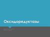 Оксидоредуктазы – это ферменты, которые катализируют окислительно-восстановительные процессы